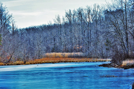 Park «Cedarville State Forest», reviews and photos, 10201 Bee Oak Rd, Brandywine, MD 20613, USA