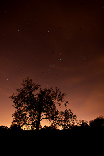 Park «Trophy Club Park», reviews and photos, 2885 Trophy Park Dr, Trophy Club, TX 76262, USA