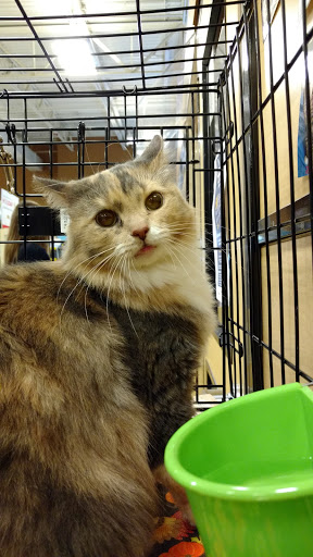 Pet Supply Store «PetSmart», reviews and photos, 11835 Retail Dr, Wake Forest, NC 27587, USA
