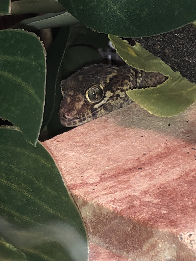 Pet Supply Store «Petco Animal Supplies», reviews and photos, 2250 Petrie Ln #518, Lanham, MD 20706, USA