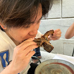 Photo n°1 de l'avis de Wolly.a fait le 21/03/2024 à 10:51 sur le  FrancescoVini à Florence