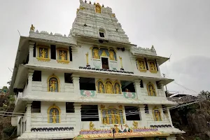 Ananthadri Sri Venkateswara Swami guest house image