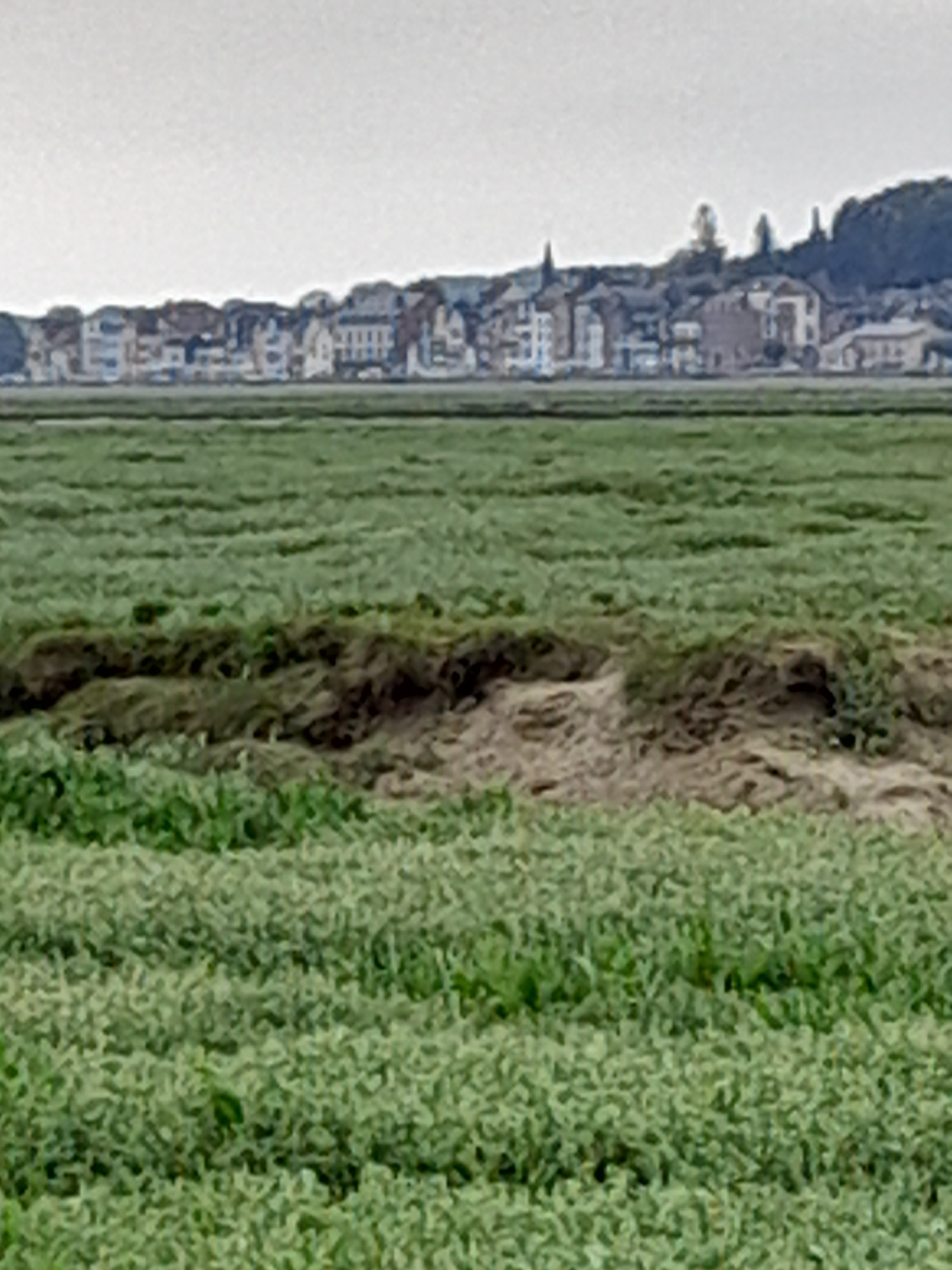 Photo n° 3 de l'avis de Local.a fait le 17/07/2021 à 20:41