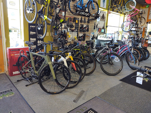 Sporting Goods Store «Evolve Bicycles», reviews and photos, 13 Blake Blvd, Celebration, FL 34747, USA