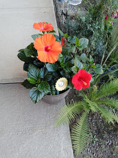 Home Improvement Store «The Home Depot», reviews and photos, 3849 S Delsea Dr, Vineland, NJ 08360, USA