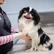 Airport Pet Emergency Clinic