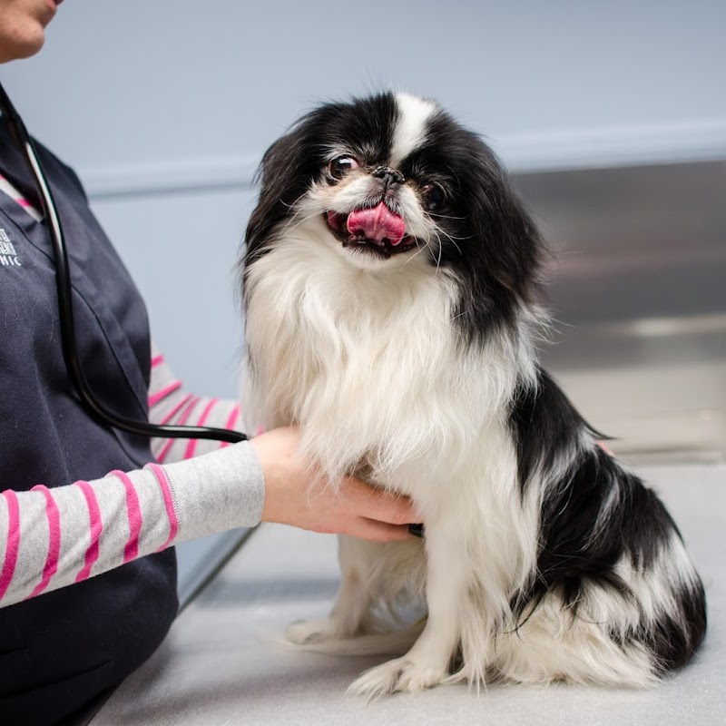 Airport Pet Emergency Clinic