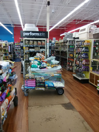 Pet Supply Store «Pet Supermarket», reviews and photos, 465 State Rd 13, Fruit Cove, FL 32259, USA