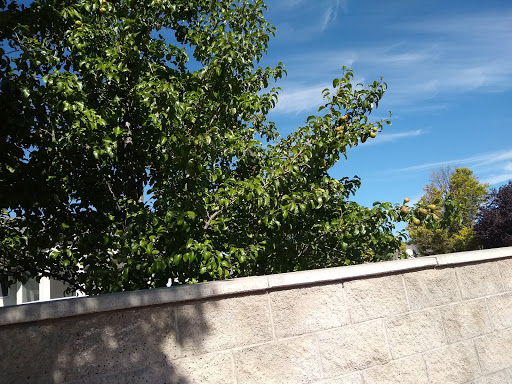 Golf Club «Mountain View Golf Course», reviews and photos, 2400 Gardner Ln, West Jordan, UT 84088, USA