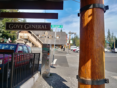 Govy General Store photo