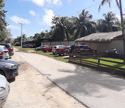 Selva Natura Interactiva photo