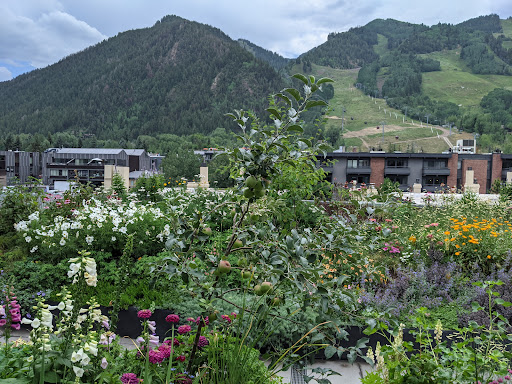 Art Museum «Aspen Art Museum», reviews and photos, 637 E Hyman Ave, Aspen, CO 81611, USA