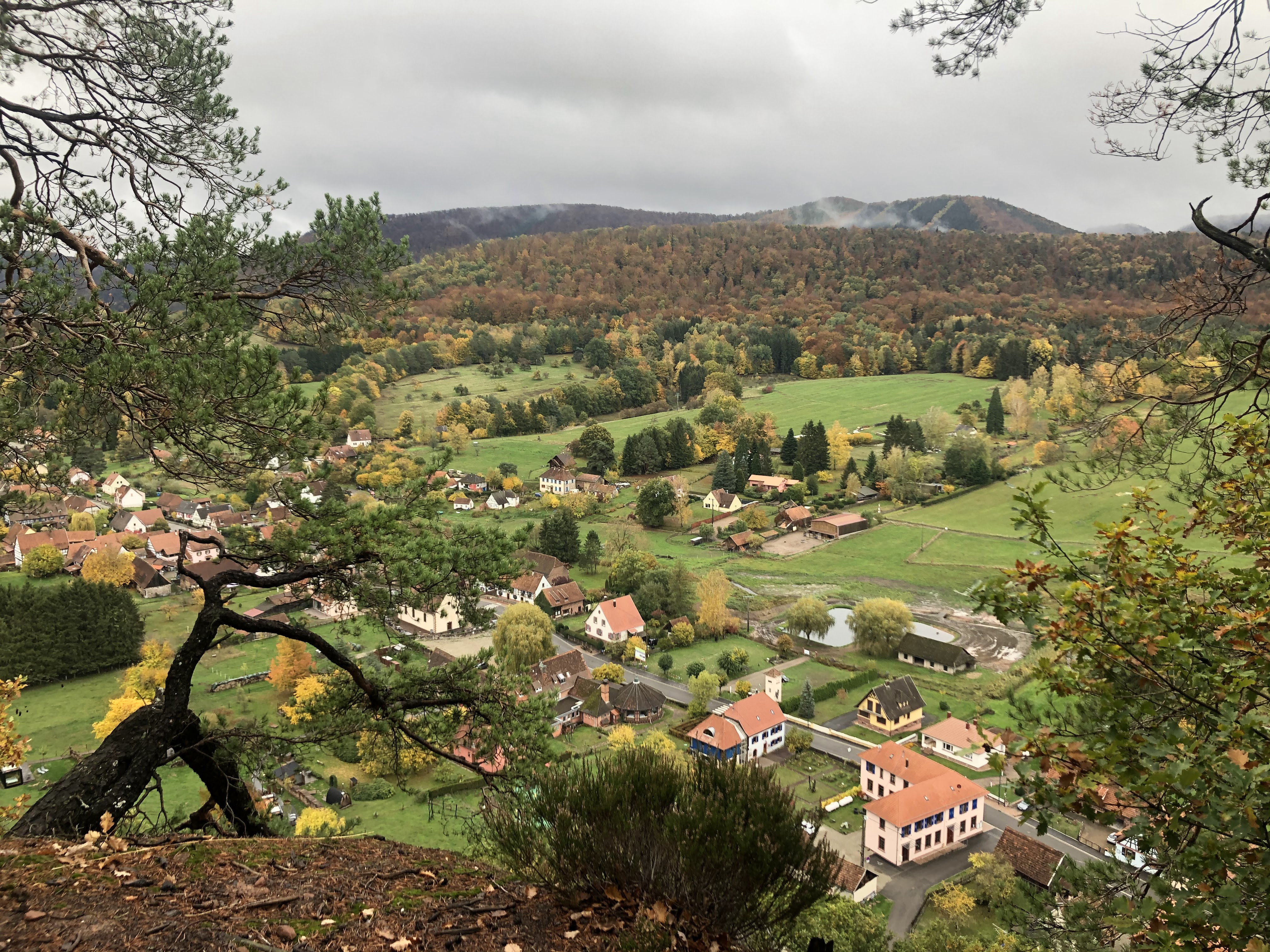 Photo n° 2 de l'avis de Aurélie. fait le 28/10/2020 à 12:07