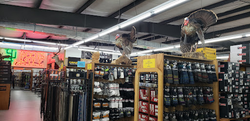 Shoe Store «Discount Shoes», reviews and photos, 1282 Brevard Rd, Asheville, NC 28806, USA