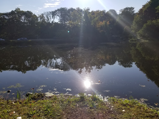 Park «Willson’s Woods Park», reviews and photos, 8 Bradford Rd, Mt Vernon, NY 10553, USA
