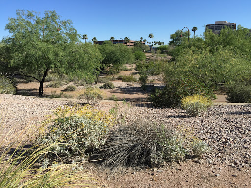 City Park «Steele Indian School Park», reviews and photos, 300 E Indian School Rd, Phoenix, AZ 85012, USA