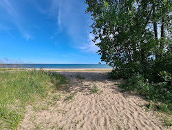 AuSable Shoreline Park Beach'in fotoğrafı çok temiz temizlik seviyesi ile