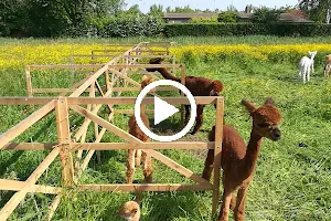 Dierenkliniek de Bata4en image