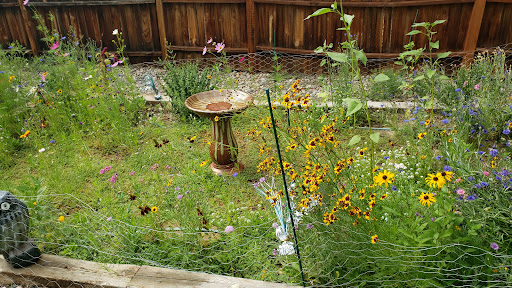 Florist «Island Orchids», reviews and photos, 2204 W Colorado Ave, Colorado Springs, CO 80904, USA