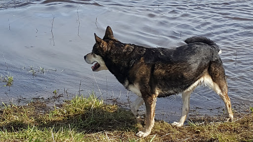 Park «Alton Baker Park», reviews and photos, 100 Day Island Rd, Eugene, OR 97401, USA