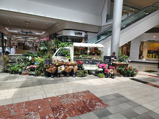 Flowers By Donna, 11700 SW Hall Blvd, Tigard, OR 97223, USA, 