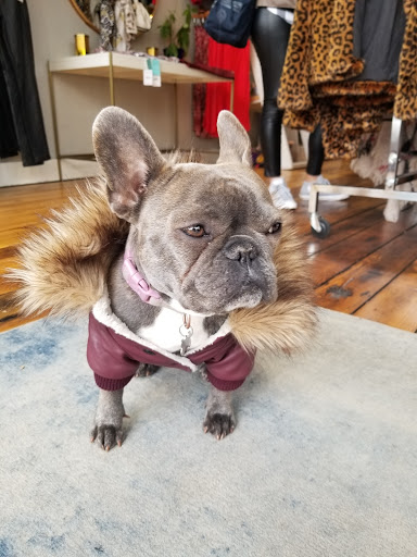 Shoe Store «Tops For Shoes», reviews and photos, 27 N Lexington Ave, Asheville, NC 28801, USA