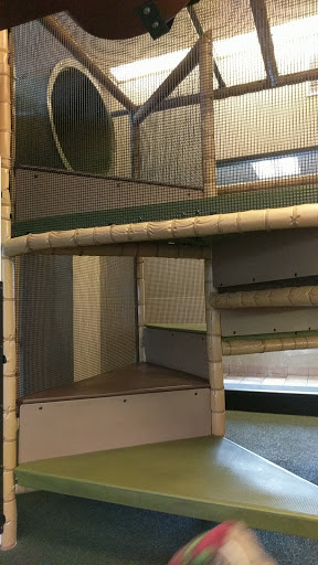 Fast Food Restaurant «Chick-fil-A», reviews and photos, 301 E Loop Rd, Wheaton, IL 60189, USA