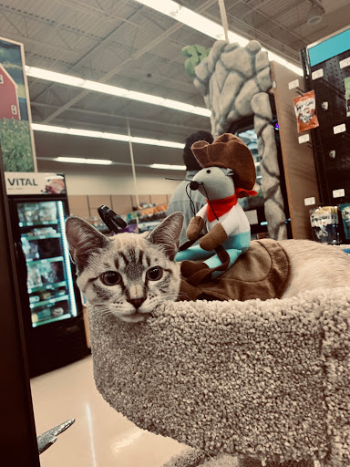 Pet Supply Store «Petco Animal Supplies», reviews and photos, 17200 Southcenter Pkwy #100, Tukwila, WA 98188, USA