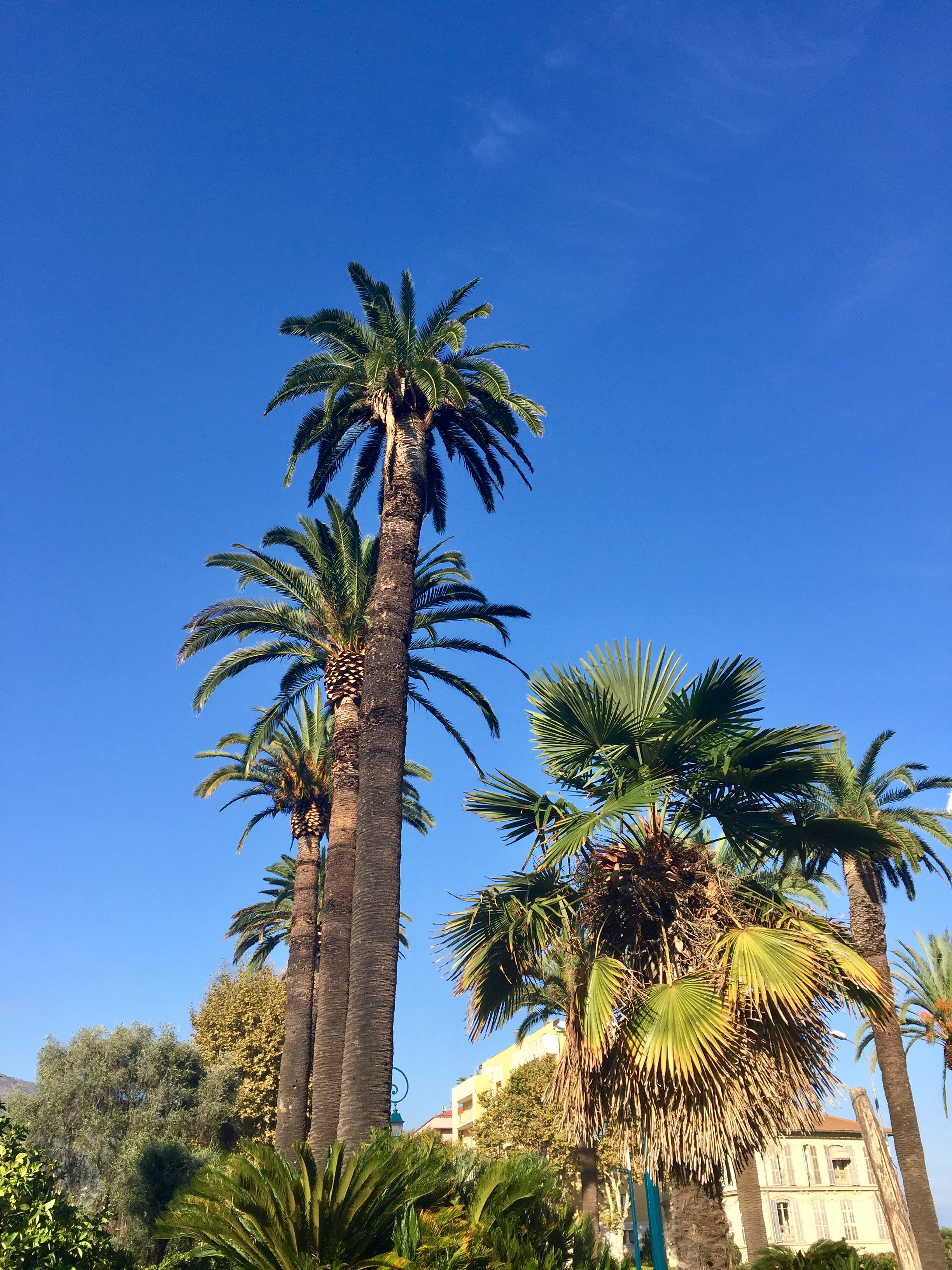 Photo n° 11 de l'avis de khaled.o fait le 05/09/2017 à 16:14