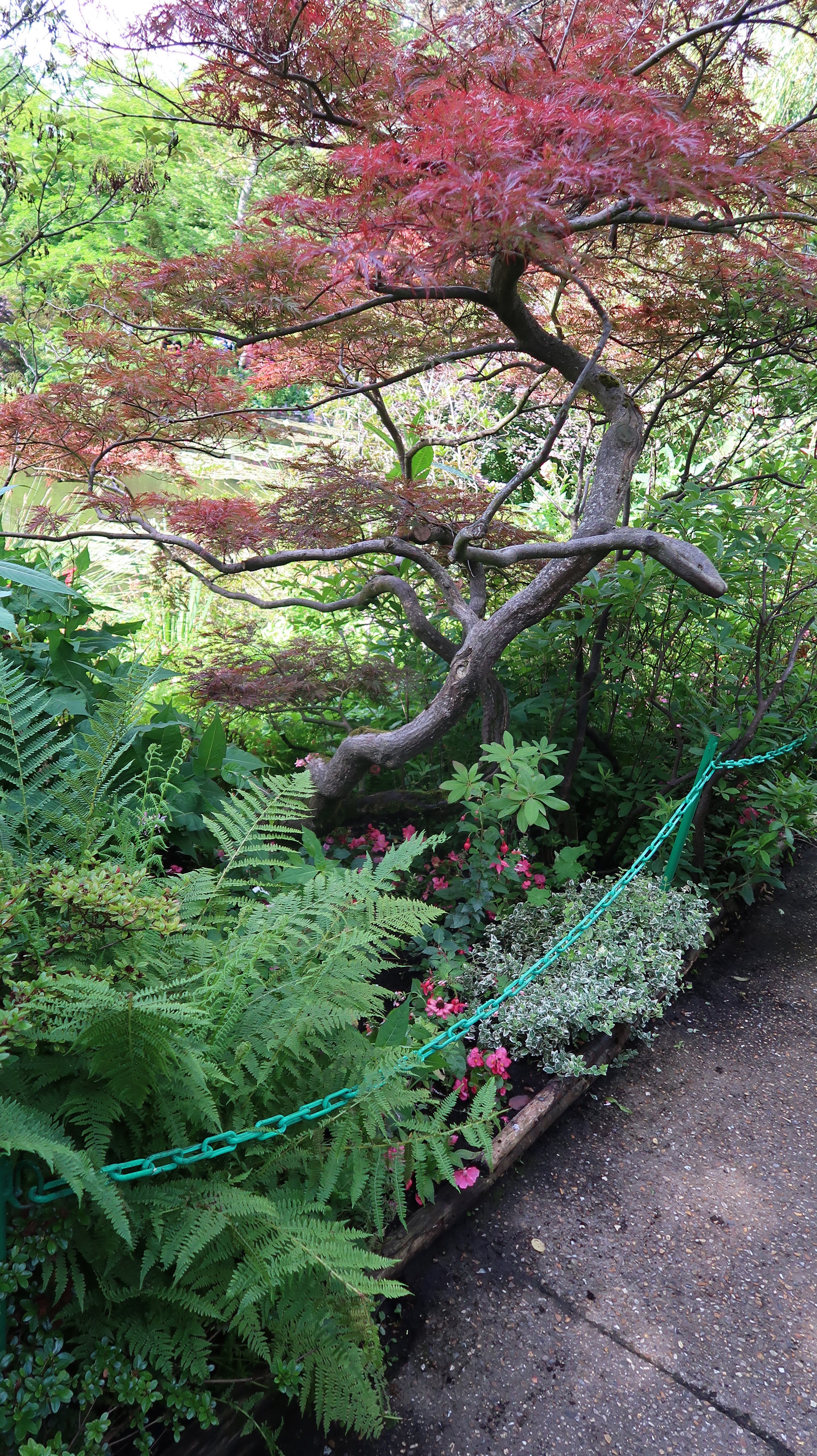 Photo n° 4 de l'avis de Sevi.n fait le 07/07/2020 à 18:33