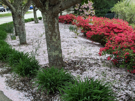 Club «The Thoreau Club», reviews and photos, 275 Forest Ridge Rd, Concord, MA 01742, USA