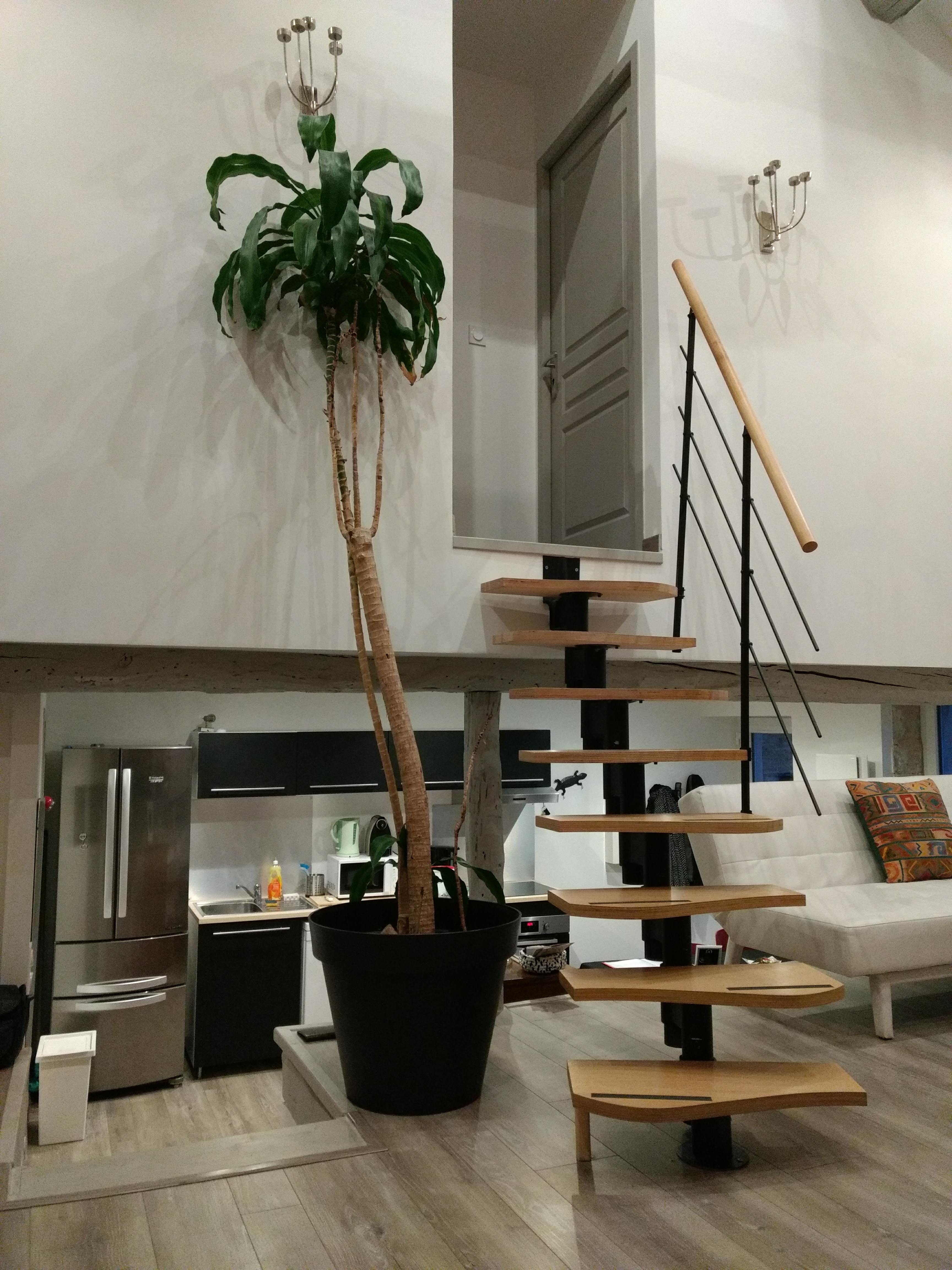 Photo n° 1 de l'avis de Lanza.o fait le 18/02/2020 à 20:44