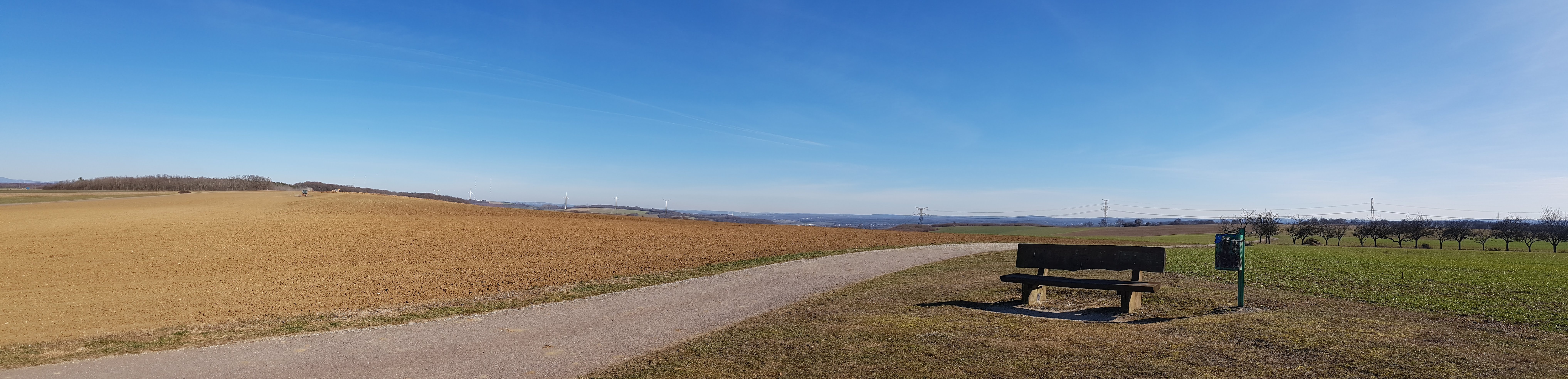 Photo n° 7 de l'avis de pierre.e fait le 26/02/2019 à 18:13