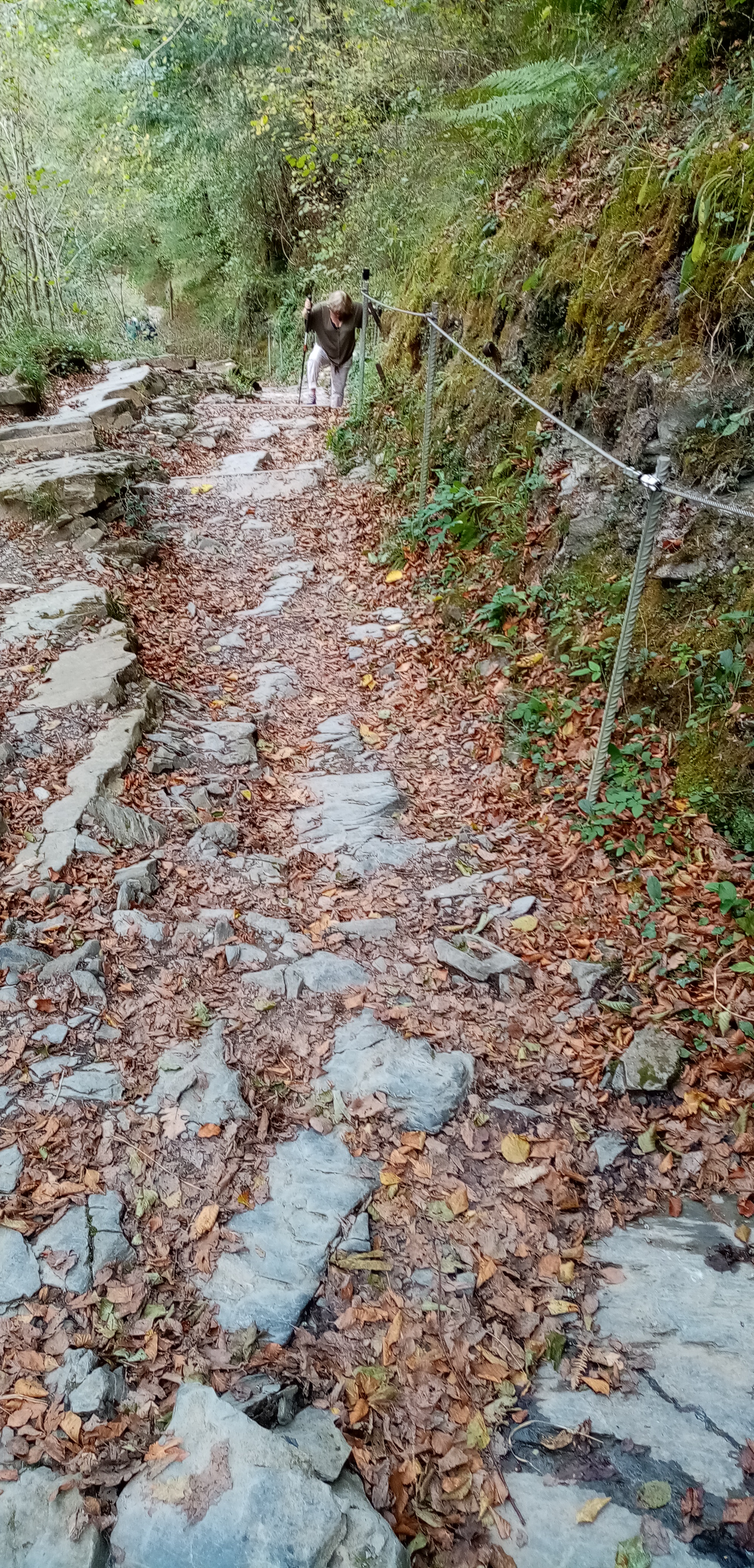 Photo n° 4 de l'avis de LEGARLABAN13.O fait le 31/10/2022 à 00:56