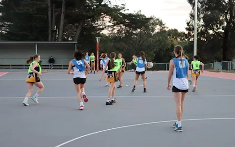 Waverley District Netball Association image