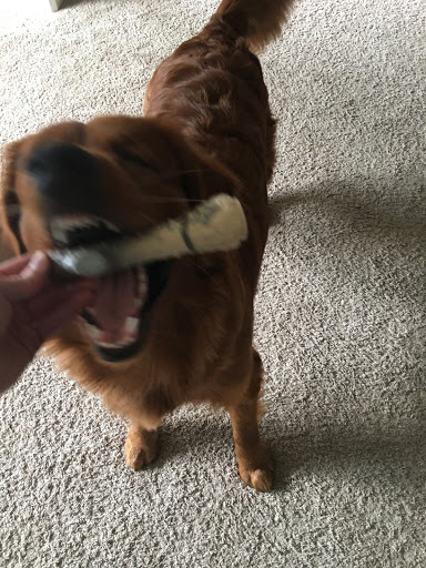 Pet Supply Store «PetSmart», reviews and photos, 5521 Mirage St, Yorba Linda, CA 92887, USA