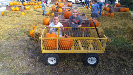 Produce Market «Rees Fruit Farm», reviews and photos, 2476 Hwy K4, Topeka, KS 66617, USA