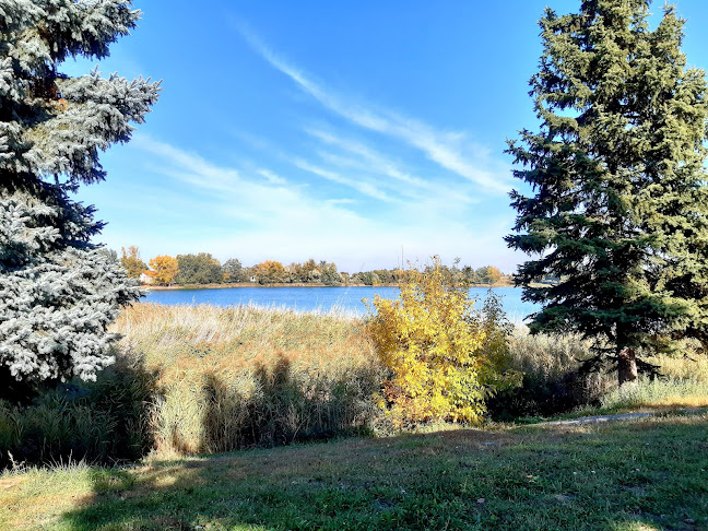 Értékelések erről a helyről: Omszki-tó, Budakalász - Gyógyfürdő