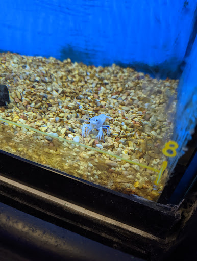 Pet Supply Store «Petco Animal Supplies», reviews and photos, 1450 Twixt Town Rd, Marion, IA 52302, USA