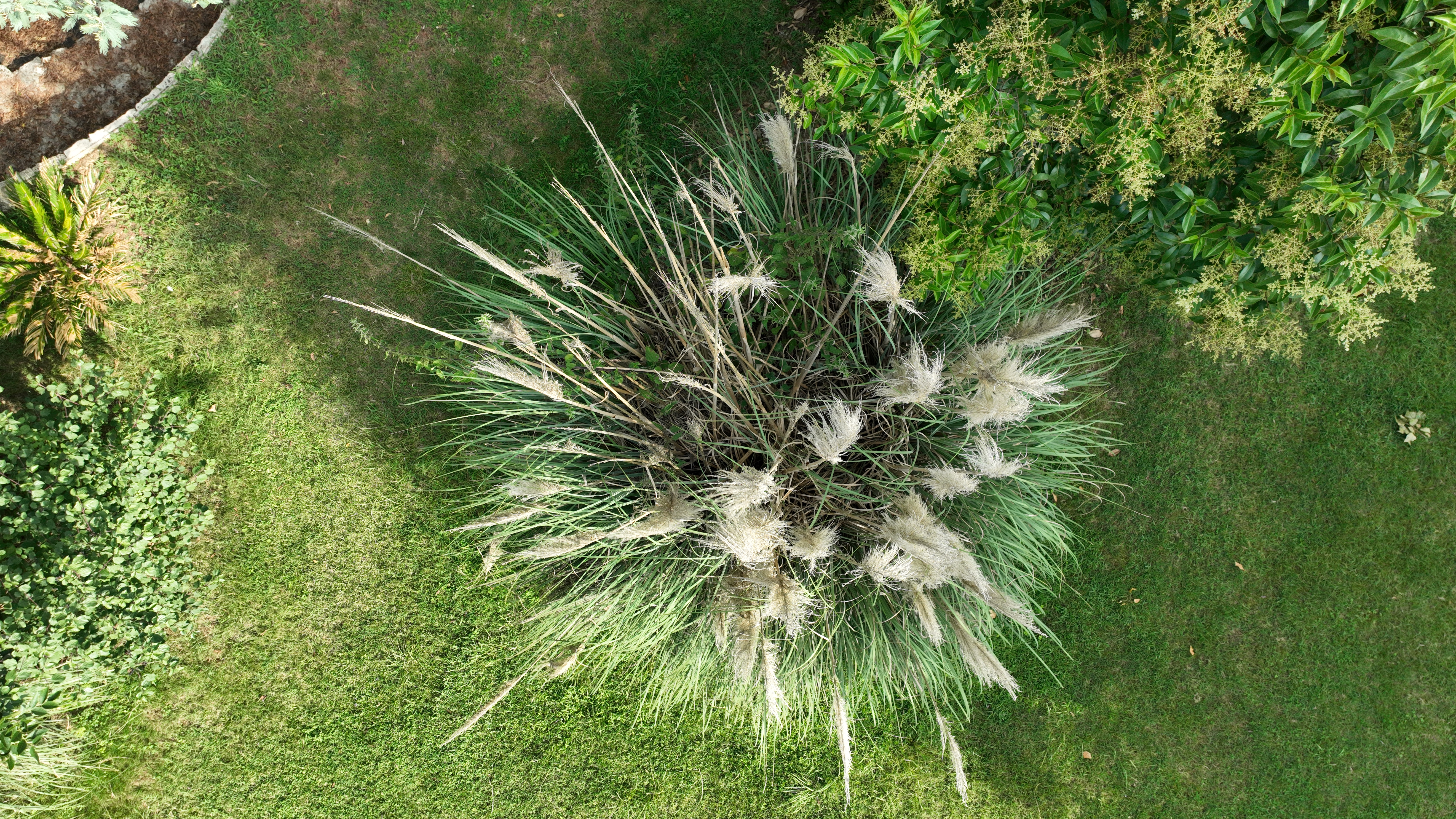 Photo n° 2 de l'avis de Sébastien.e fait le 03/08/2023 à 12:31