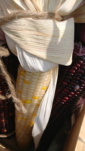 Health Food Store «Lexington Cooperative Market», reviews and photos, 807 Elmwood Ave, Buffalo, NY 14222, USA