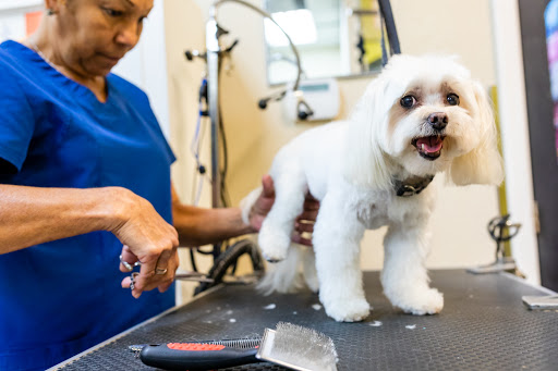 Pet Groomer «ITIG Happy Dog Wash», reviews and photos, 6465 S Chickasaw Trail, Orlando, FL 32829, USA