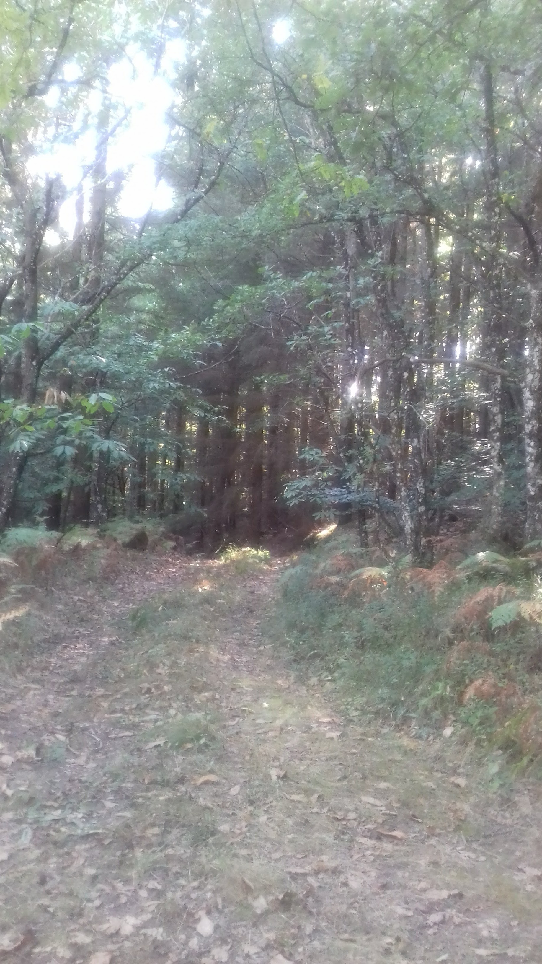 Photo n° 4 de l'avis de Isabelle.u fait le 29/09/2019 à 00:38