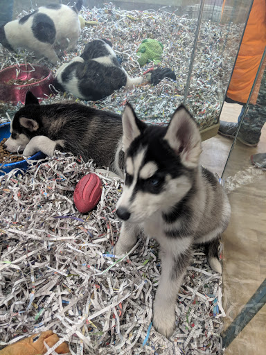 Pet Store «Animal House», reviews and photos, 7869 Hamilton Ave, Cincinnati, OH 45231, USA