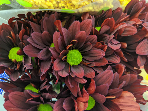 Grocery Store «Fresh Plus Grocery», reviews and photos, 1221 W Lynn St, Austin, TX 78703, USA