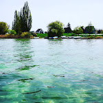 Photo n°1 de l'avis de Andreas.a fait le 29/04/2019 à 12:58 sur le  Restaurant Strandbad Reichenau à Reichenau