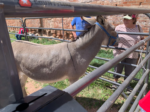 Tourist Attraction «Cave of the Winds», reviews and photos, 100 Cave of the Winds Rd, Manitou Springs, CO 80829, USA
