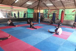 CHAMPION'S MARTIAL ART AND FITNESS CLUB image