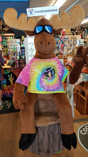 Gift Shop «Cool As A Moose», reviews and photos, 118 Main St, Bar Harbor, ME 04609, USA