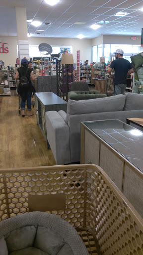 Department Store «HomeGoods», reviews and photos, 17641 Dale Mabry Hwy, Lutz, FL 33548, USA